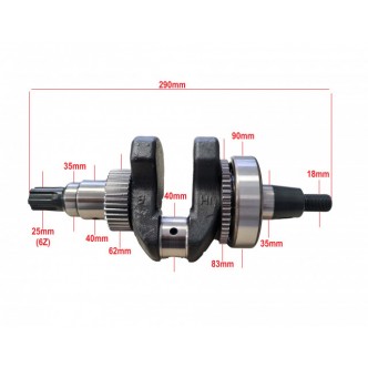 Ambielaj motocultor diesel (motorina) 186F - canelat Ruris 1001 KSD